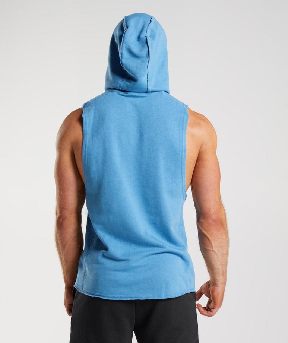 Sudadera Con Capucha Gymshark Legacy Drop Arm Hombre Azules | CO 3645LIS